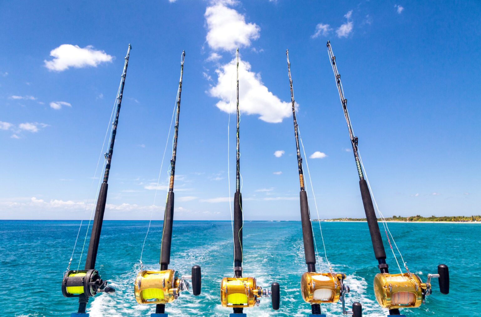 Friends are ready with their anglers to find their catch