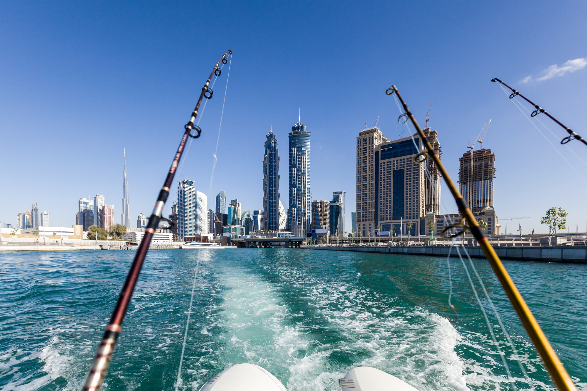 Fishing Cruise along the coastlines of Dubai
